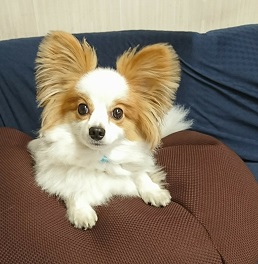  ���� �x��(�p�s����)2